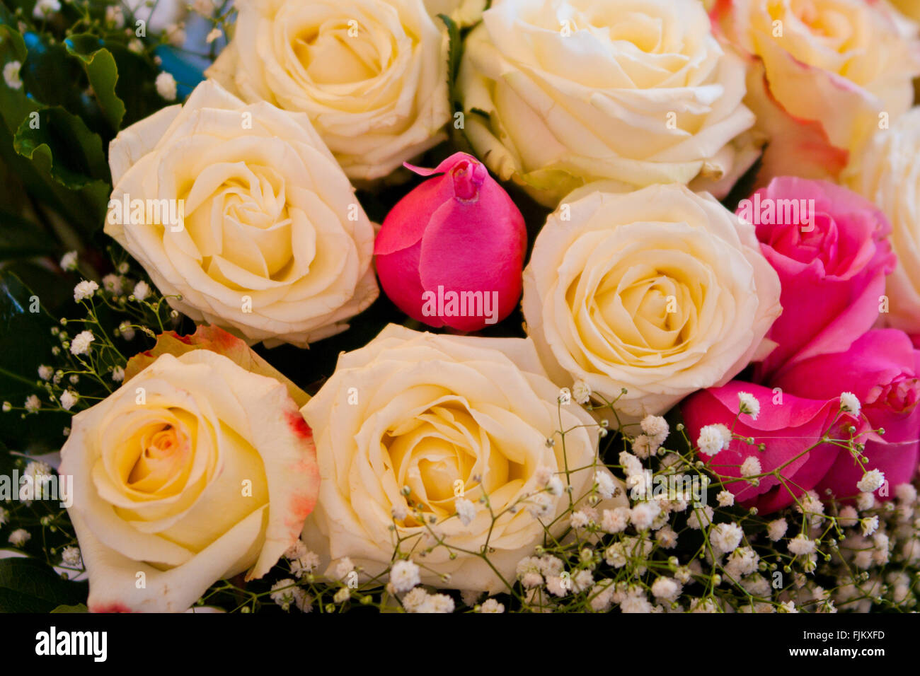 a beautiful bouquet of roses brightens your best day Stock Photo