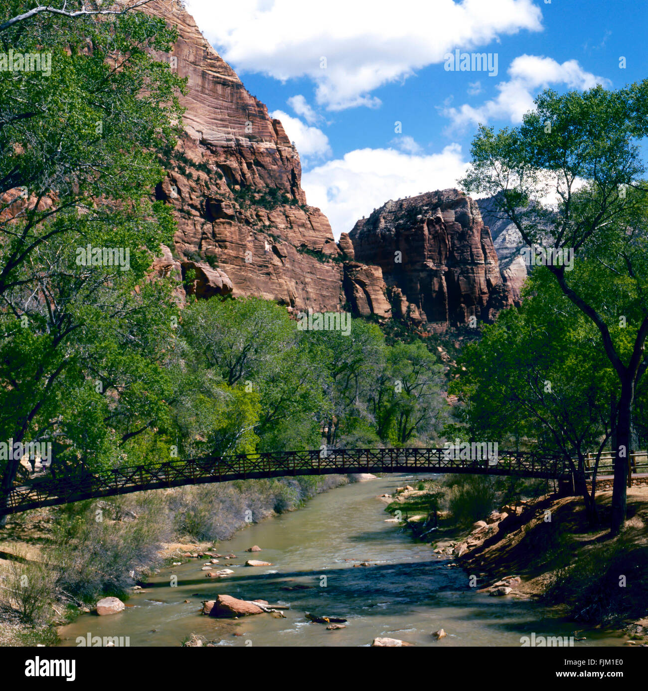 My Image 31
