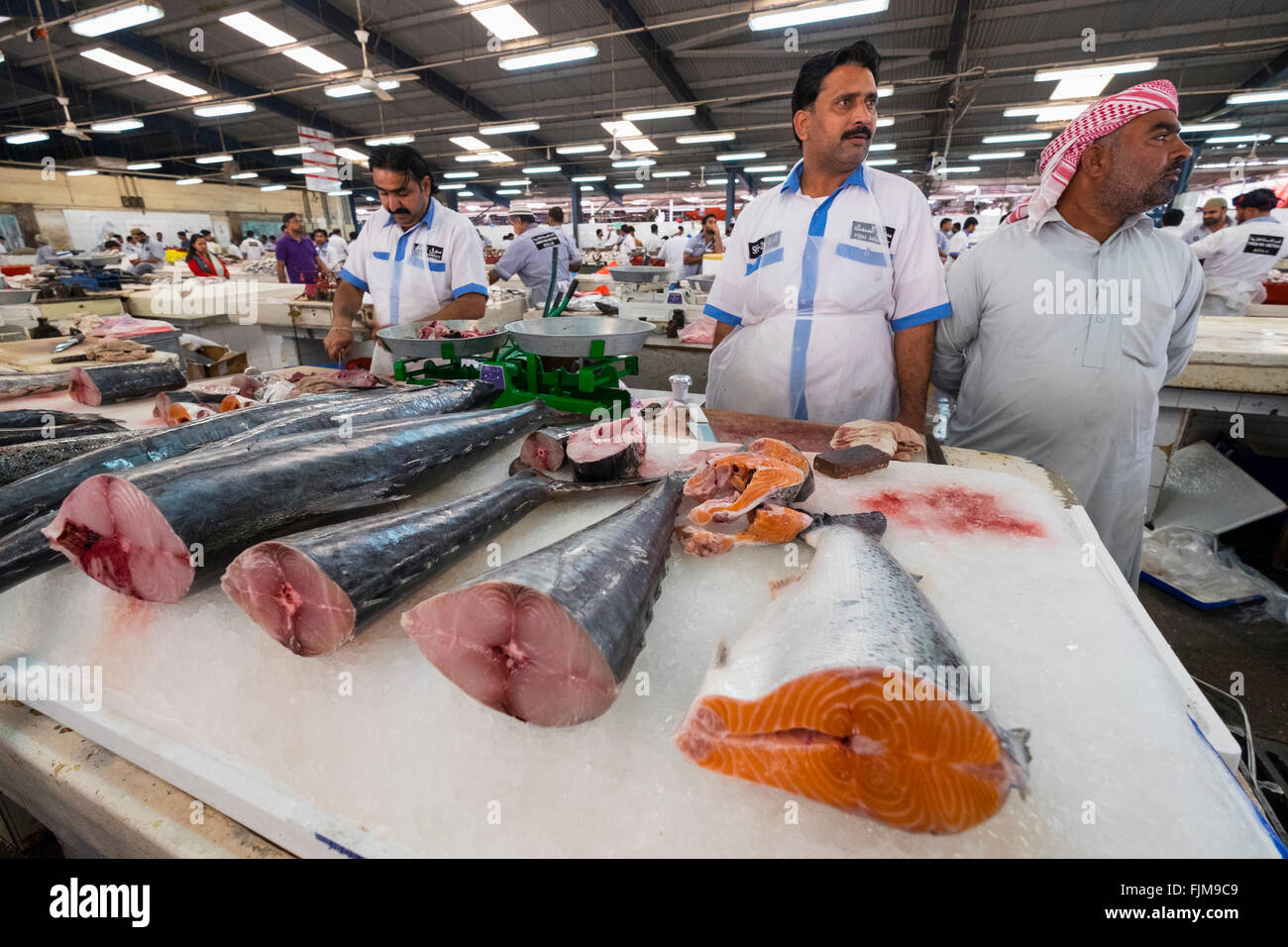 Fish for sale on stall at Dubai fish market in Deira United Arab