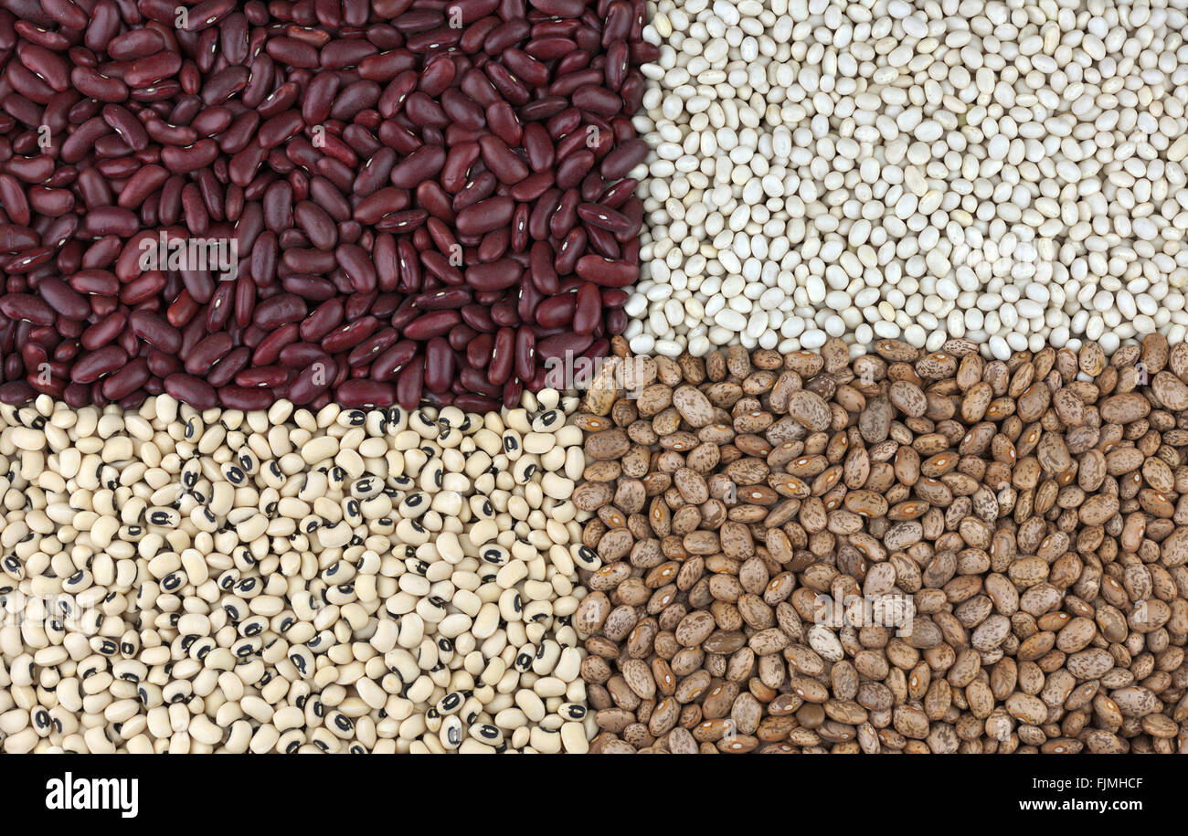 Dried beans, clockwise from left Red Kidney beans or Red Giant, Haricot