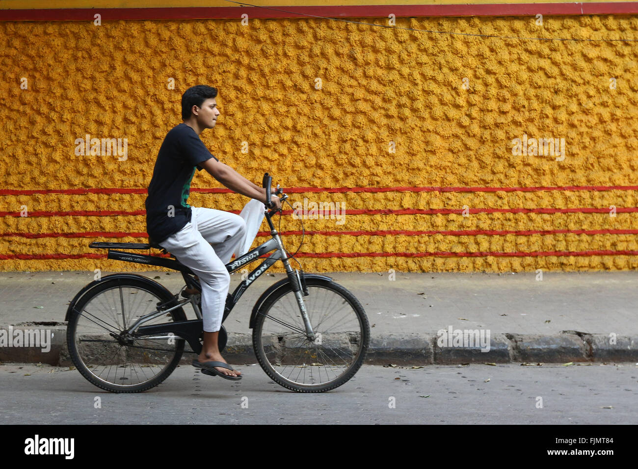 India, 19 February 2016. A man rides his bicycle past colorful walin Kolkata. Photo by Palash Khan Stock Photo