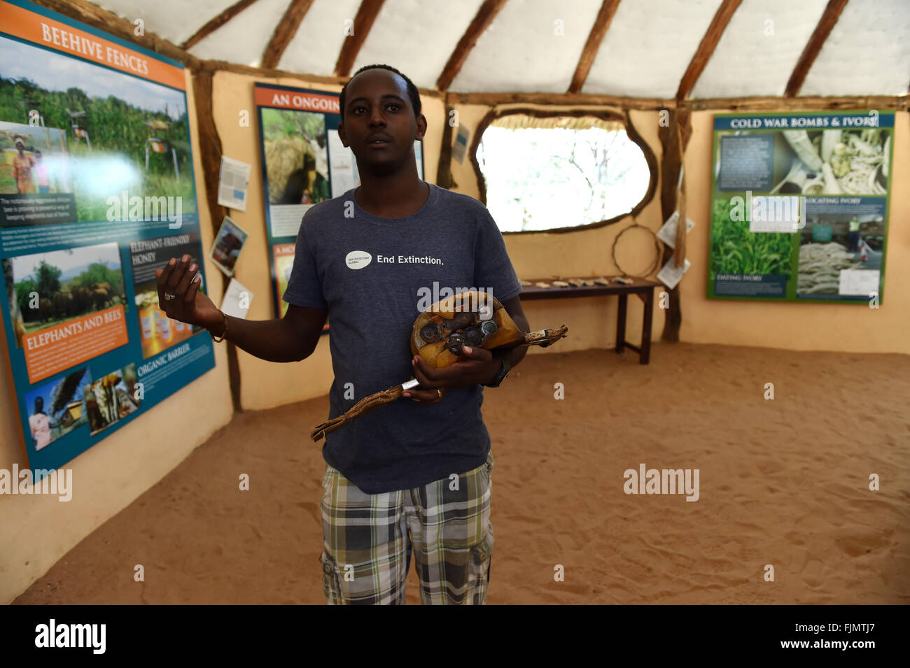 (160303) -- SAMBURU, March 3, 2016 (Xinhua) -- Jerenimo from Save the Elephants presents a tracking device shot by poachers after they killed an elephant, at STE camp in Samburu National Reserve, Kenya, March 1, 2016. In northern Kenya's Samburu region, there lives the second largest group of elephant species in this country. Around them, a number of elephant defenders have watched them day and night for the past 18 years. Founded in 1993, the organization Save The Elephants (STE) has been devoting its attention to secure the future of elephants and battle the ivory poaching. The World Wildlif Stock Photo