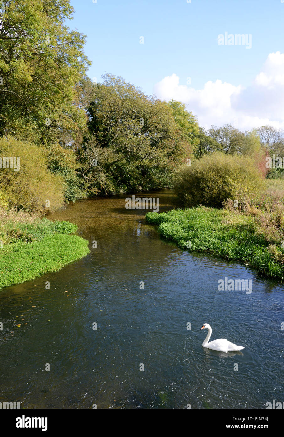 River Frome in Dorset, Britain, UK Stock Photo