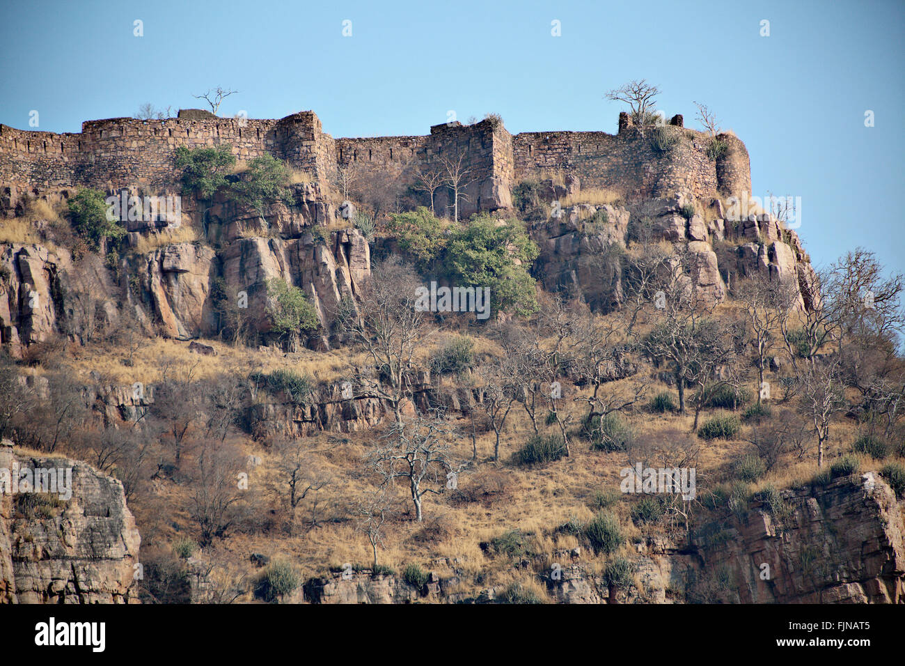 Ranthambore Fort In Ranthambore National Park India Stock Photo Alamy Ranthambore Fort In Ranthambore National Park India Stock Photo Alamy