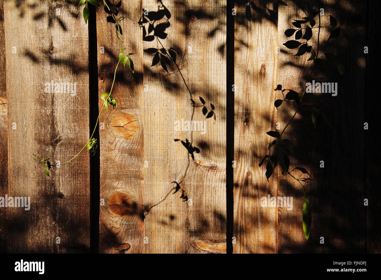 Close-Up Of Picket Fence Stock Photo - Alamy