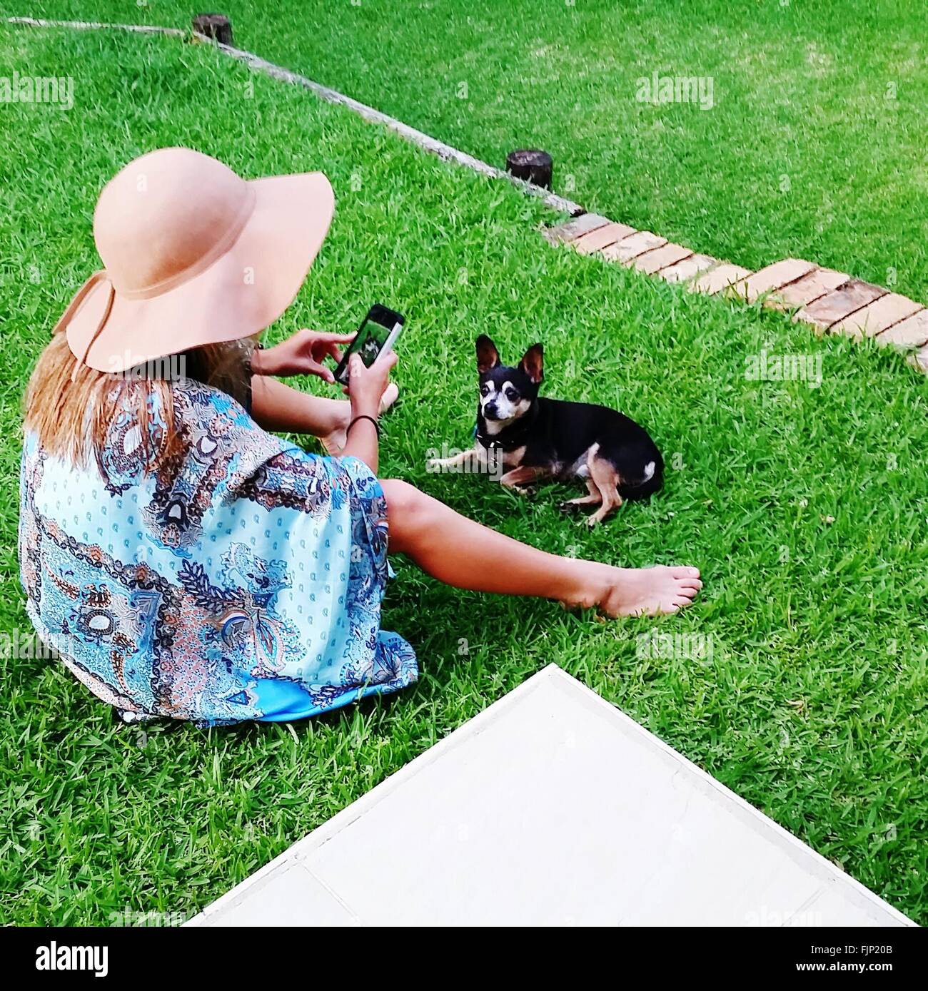 High Angle View Of Girl Taking Picture Of Pet Dog Stock Photo