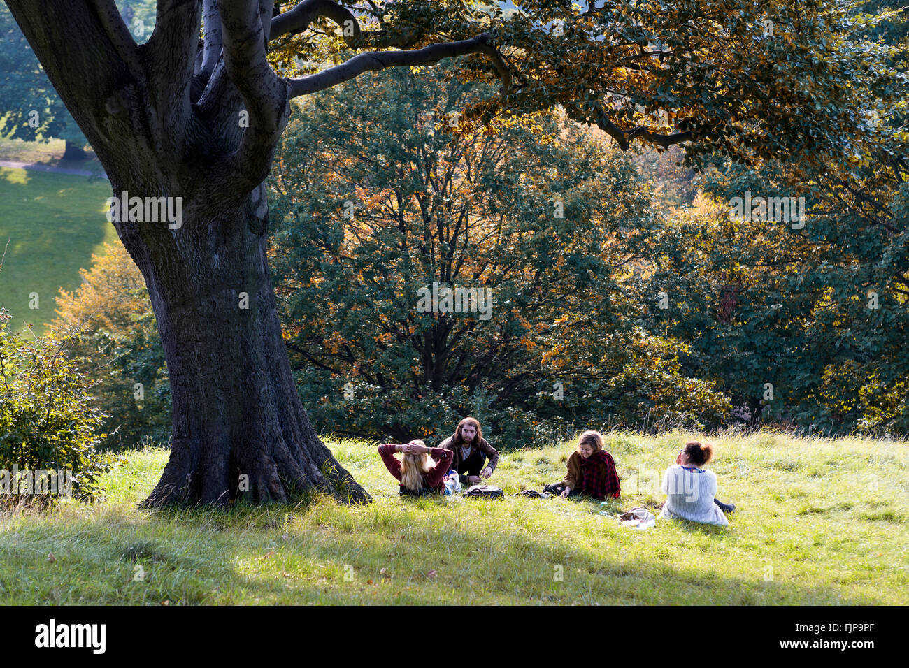 20-something people in the autumn sun at Greenwich Park, London, United Kingdom. Stock Photo