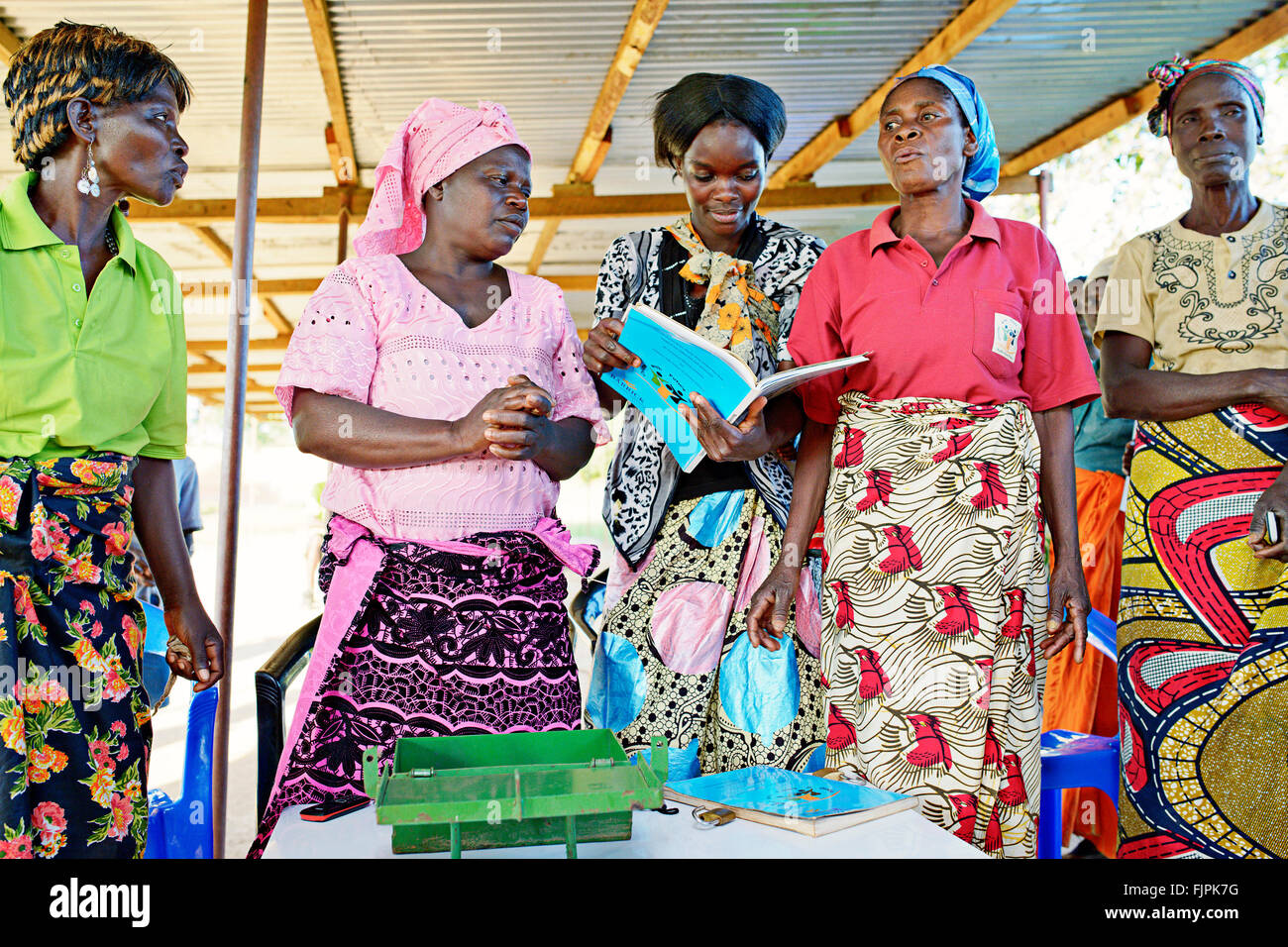 Members of a women's bank group. Copperbelt region, Zambia. Stock Photo