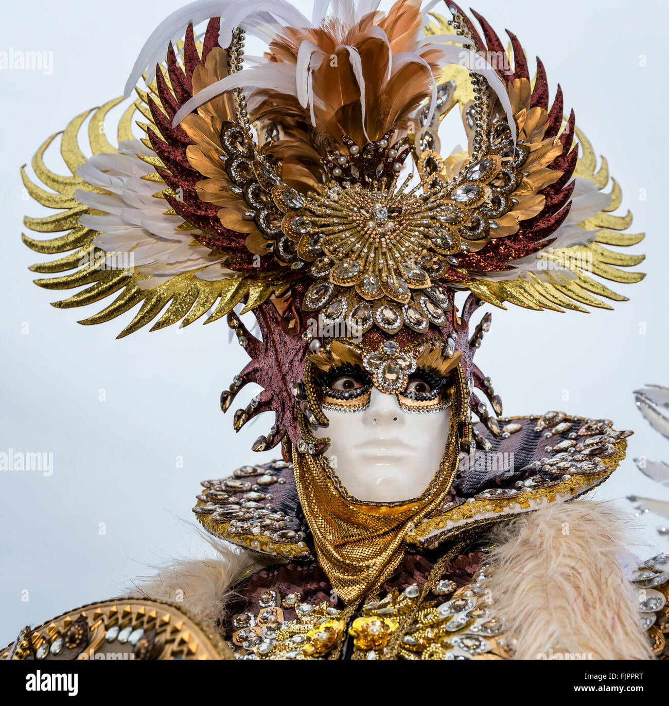 A man dressed up for the Carnival in Venice, Italy Stock Photo - Alamy