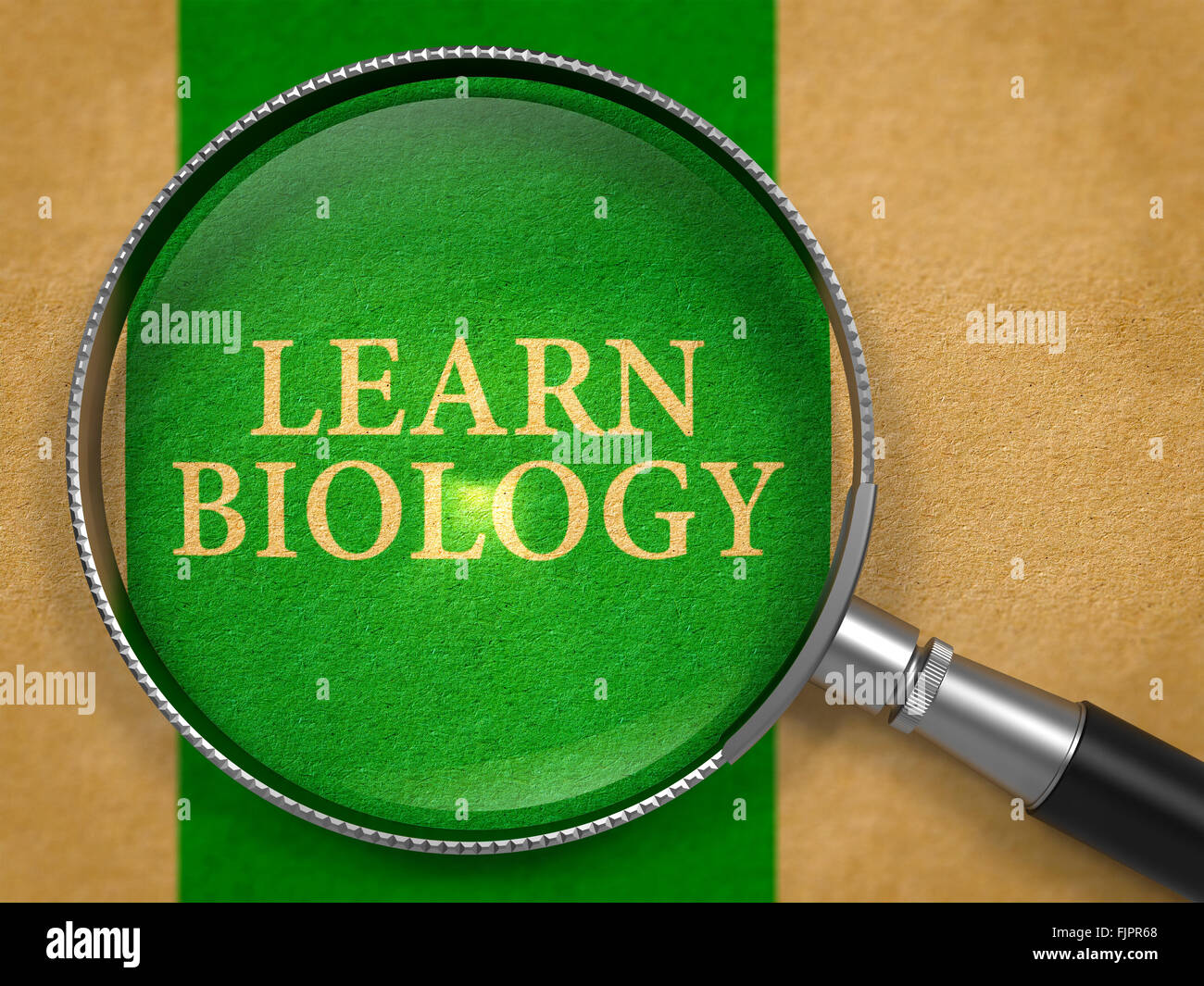 Learn Biology through Magnifying Glass. Stock Photo