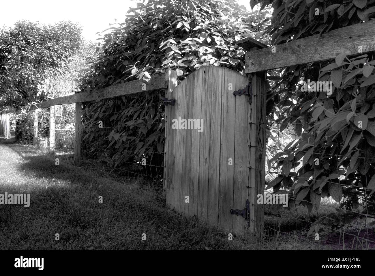 Wooden Gate In Fence Stock Photo Alamy