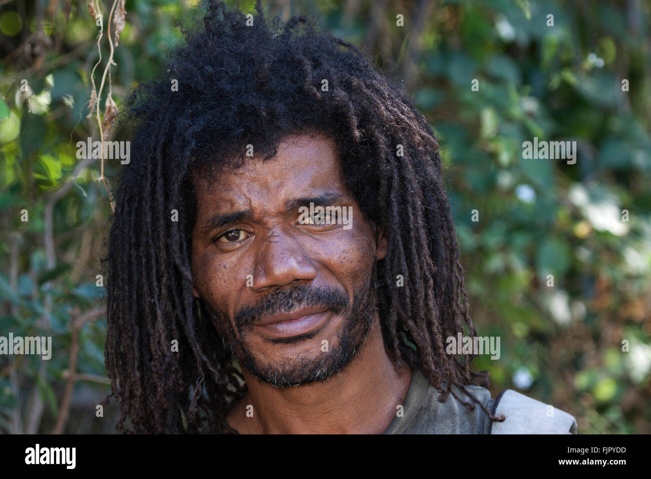 Local man with dreadlocks, Rastafarian hair, portrait, Reunion Stock