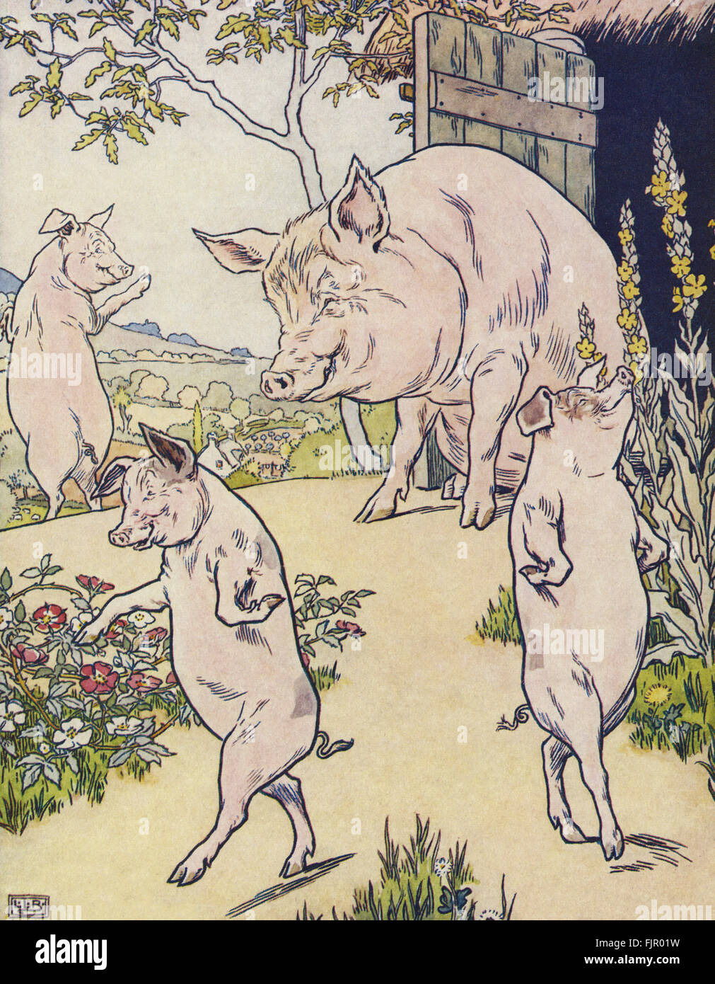 The Three Little Pigs, the old sow sends the three pigs to seek their fortune, from The Golden Goose Book, 1905, illustrated by Leonard Leslie Brooke (1862 - 1940) Stock Photo