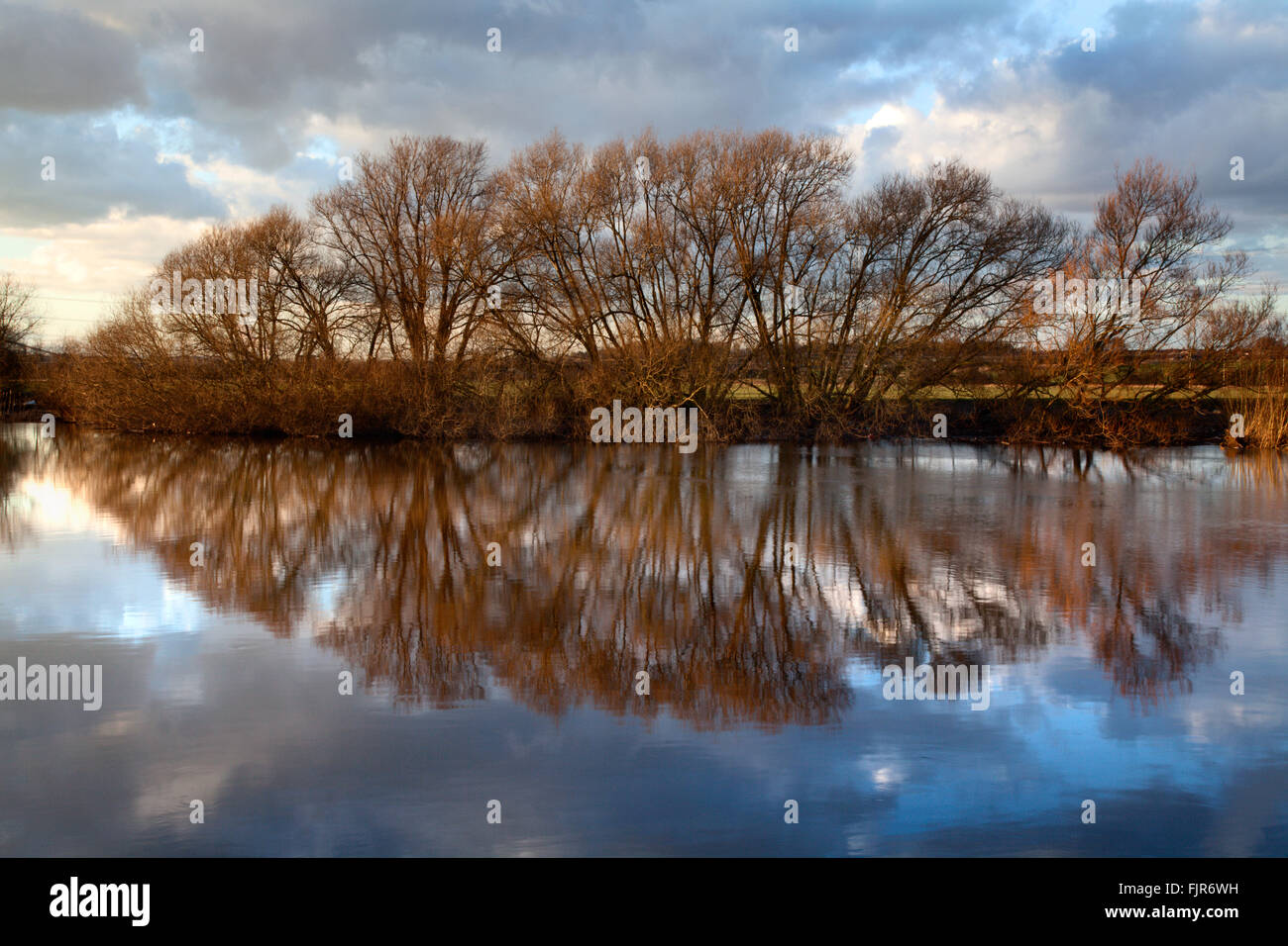 Winter Trees Reflected in the River Aire Knottingley West Yorkshire England Stock Photo