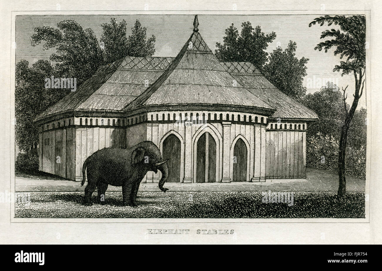 Elephant stables, Regent's Park Zoological Gardens, London. From 1835 print. Stock Photo