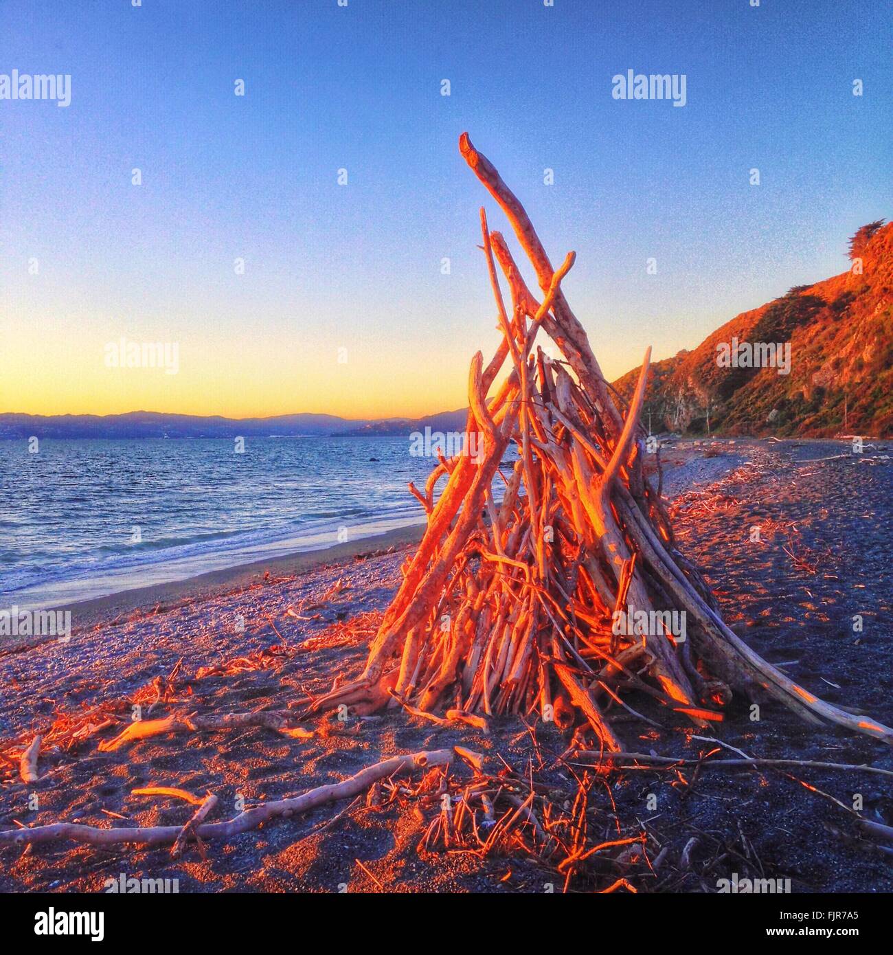 Sunlight On Driftwood By Seashore During Sunset Stock Photo