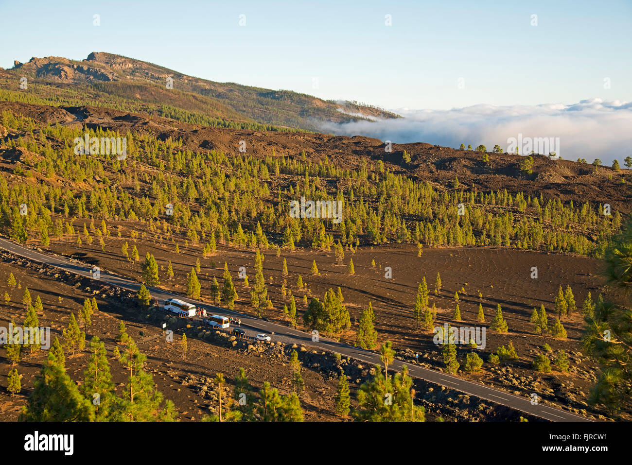 Chio Tenerife High Resolution Stock Photography And Images Alamy