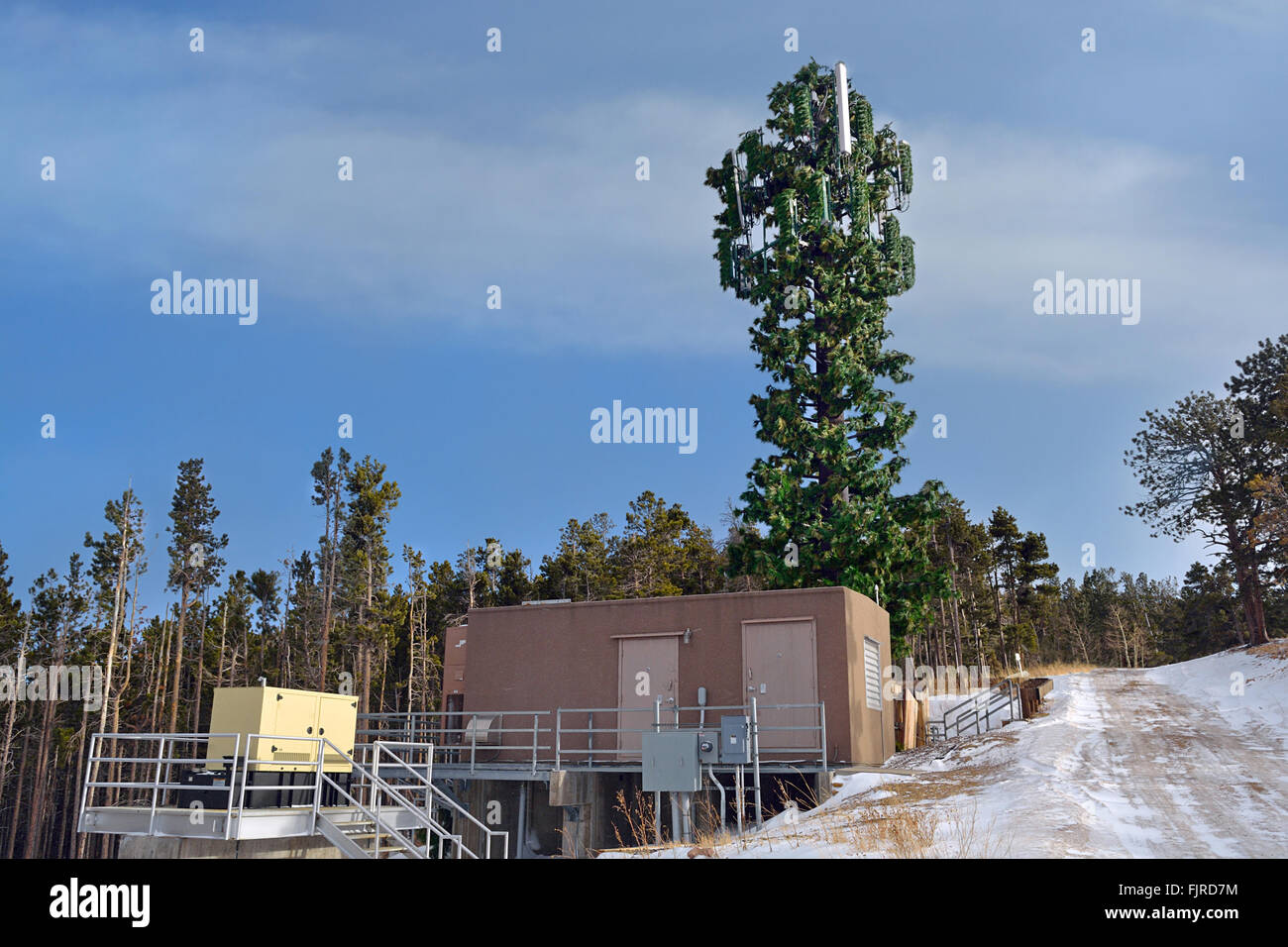 Cell Tower Disguised as a Tree Stock Photo
