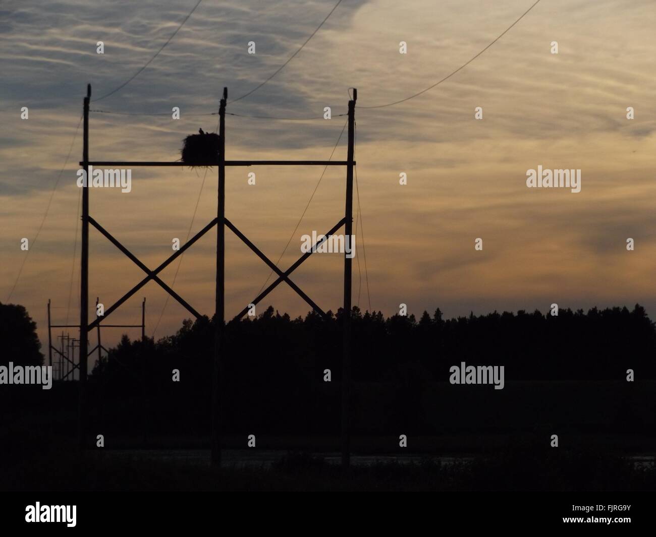 Nest on power lines hires stock photography and images Alamy