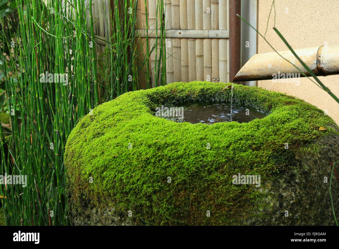 Water falling stone hi-res stock photography and images - Alamy