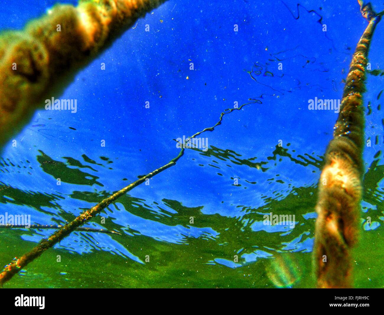 Underwater rope hires stock photography and images Alamy