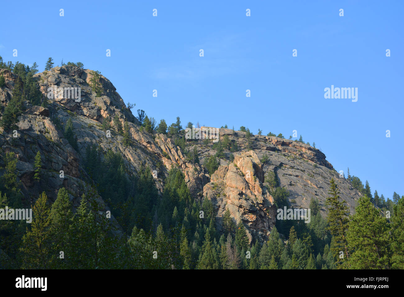 Big Rock Canyon Wall with Trees Stock Photo