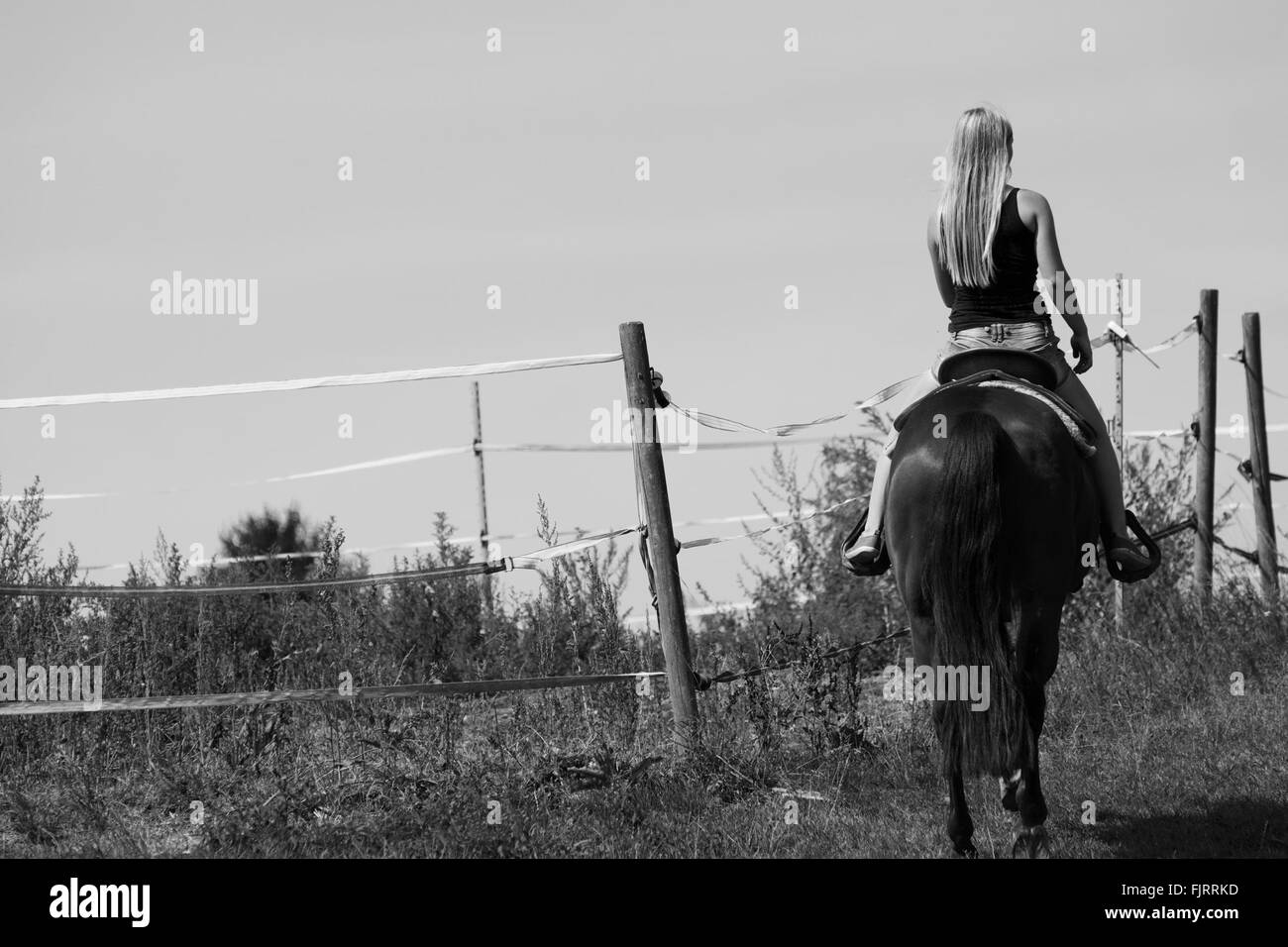 Rear view woman riding horse Black and White Stock Photos & Images - Alamy