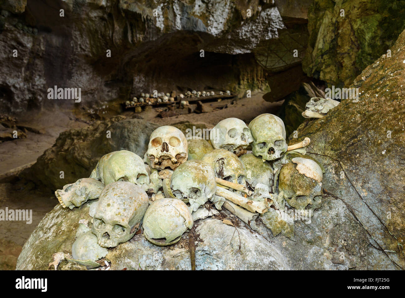Pile of skulls by the entrance to Tampang Allo burial cave of the royal family. There are coffins are placed in caves or hanging Stock Photo