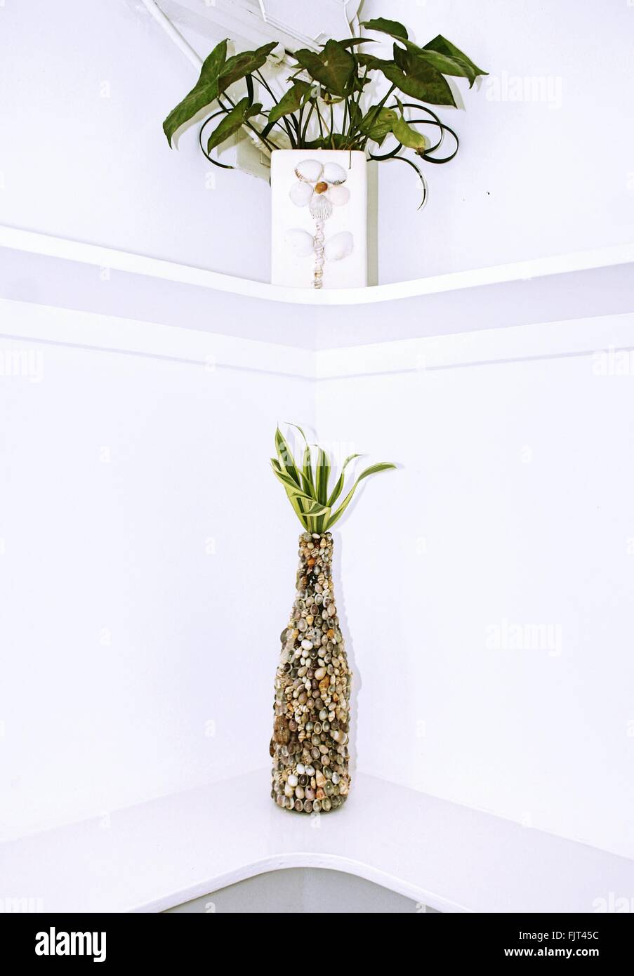 Various vase corner room architecture hires stock photography and