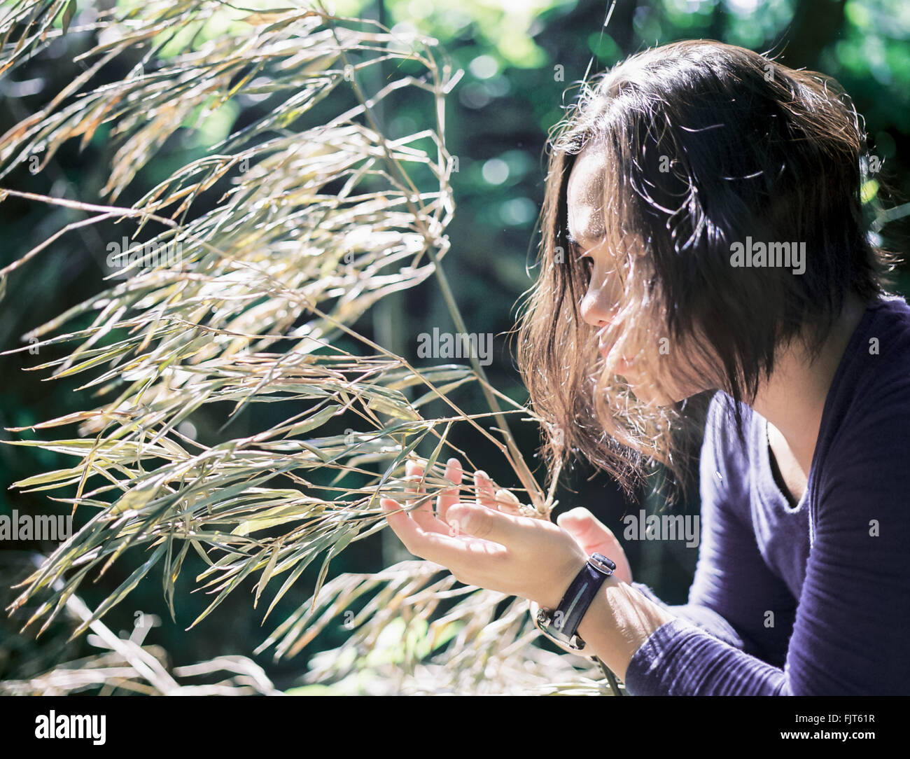 Close-Up Of Man Standing By Plants Stock Photo