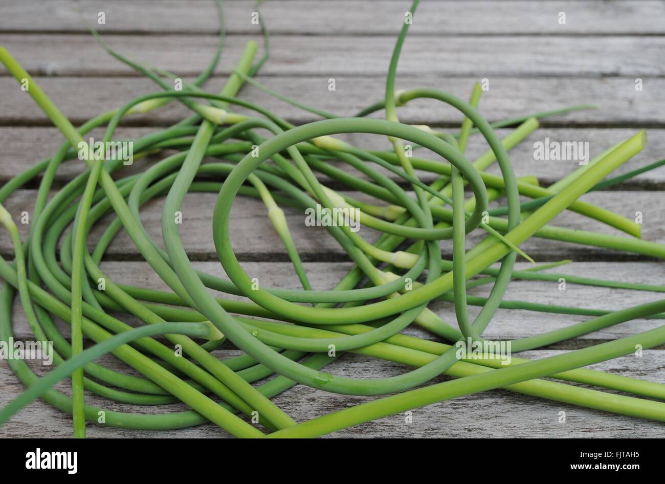Bunches of freshly picked garlic scape on a wooden table Stock Photo