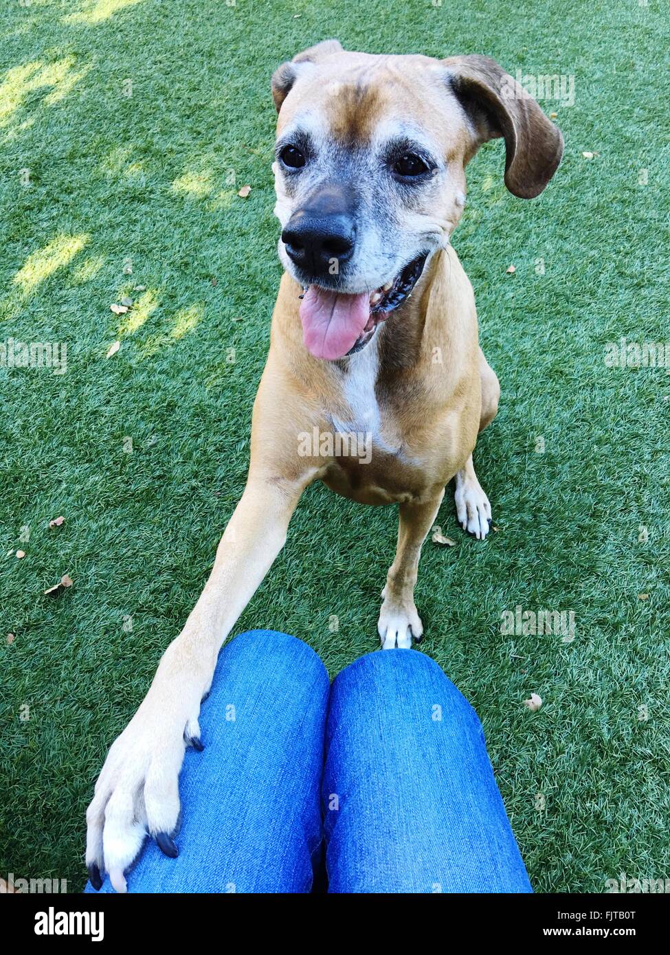 Woman Thigh High Resolution Stock Photography and Images - Alamy