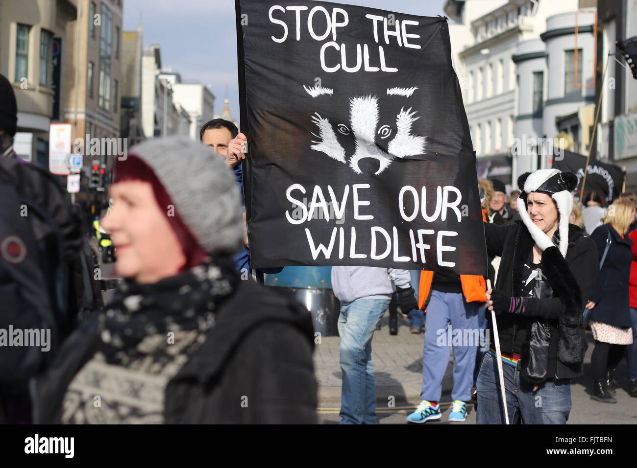 Brighton, United Kingdom. 27 February 2016. A protest against cull of badgers saw campaigners march through Brighton to the seaf Stock Photo