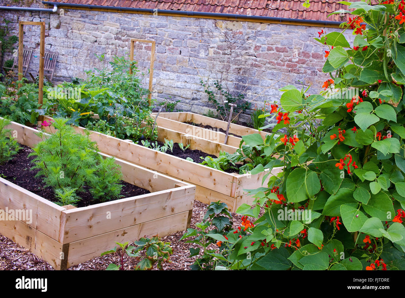 Rustic Country Vegetable & Flower Garden with Raised Beds Stock Photo