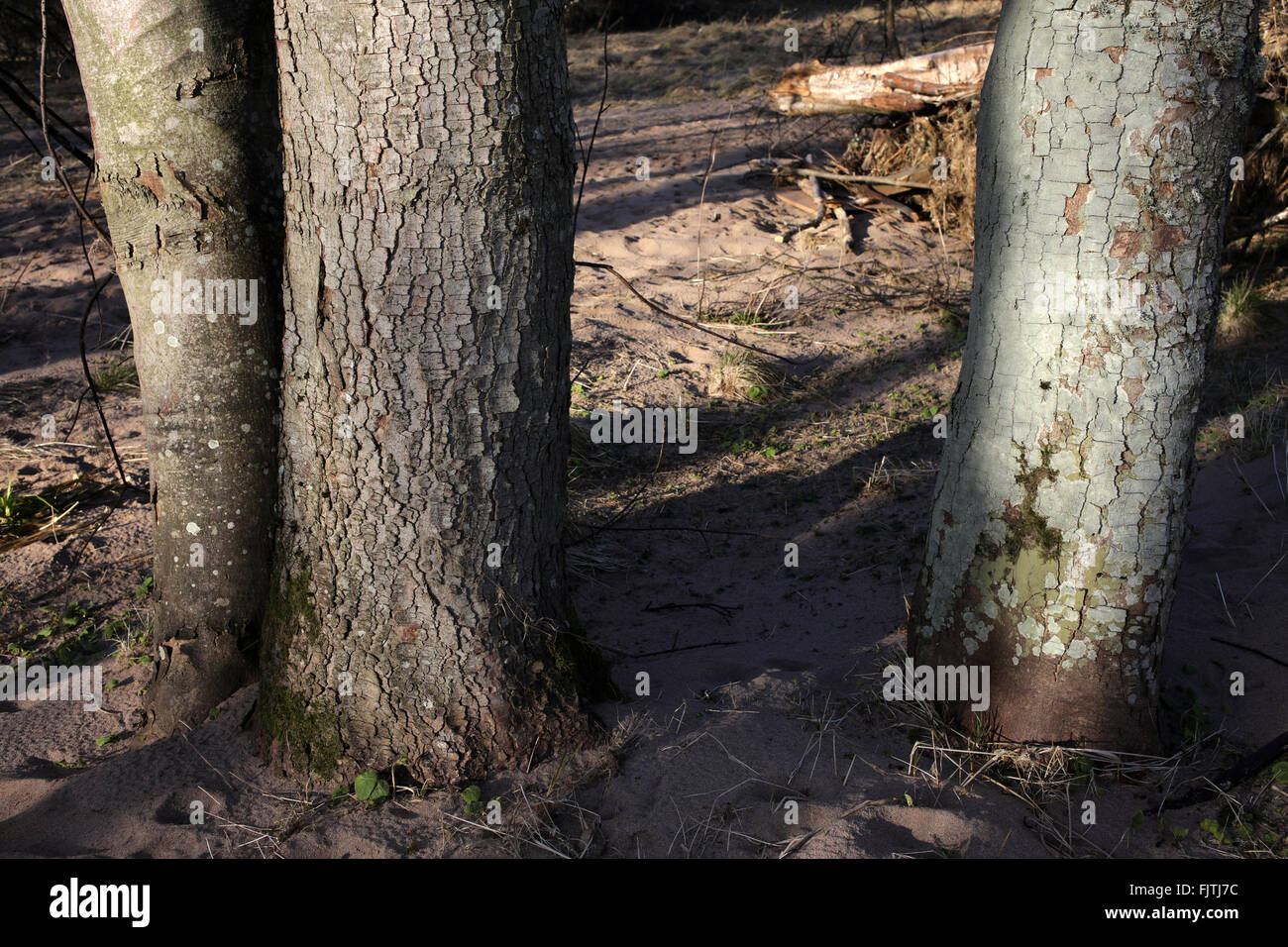 Cults aberdeen High Resolution Stock Photography and Images Alamy