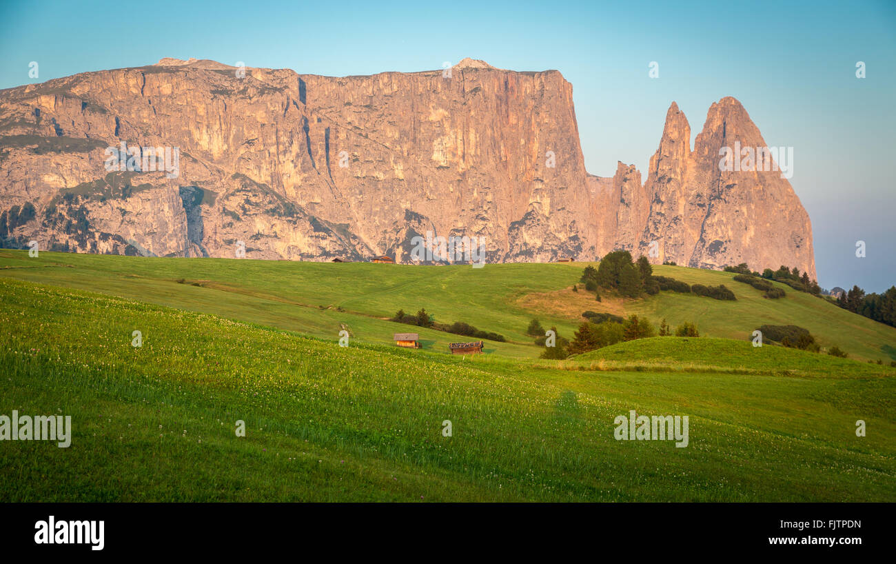Schlern mountain in morning light, Seiser Alm, South Tyrol, Italy Stock Photo