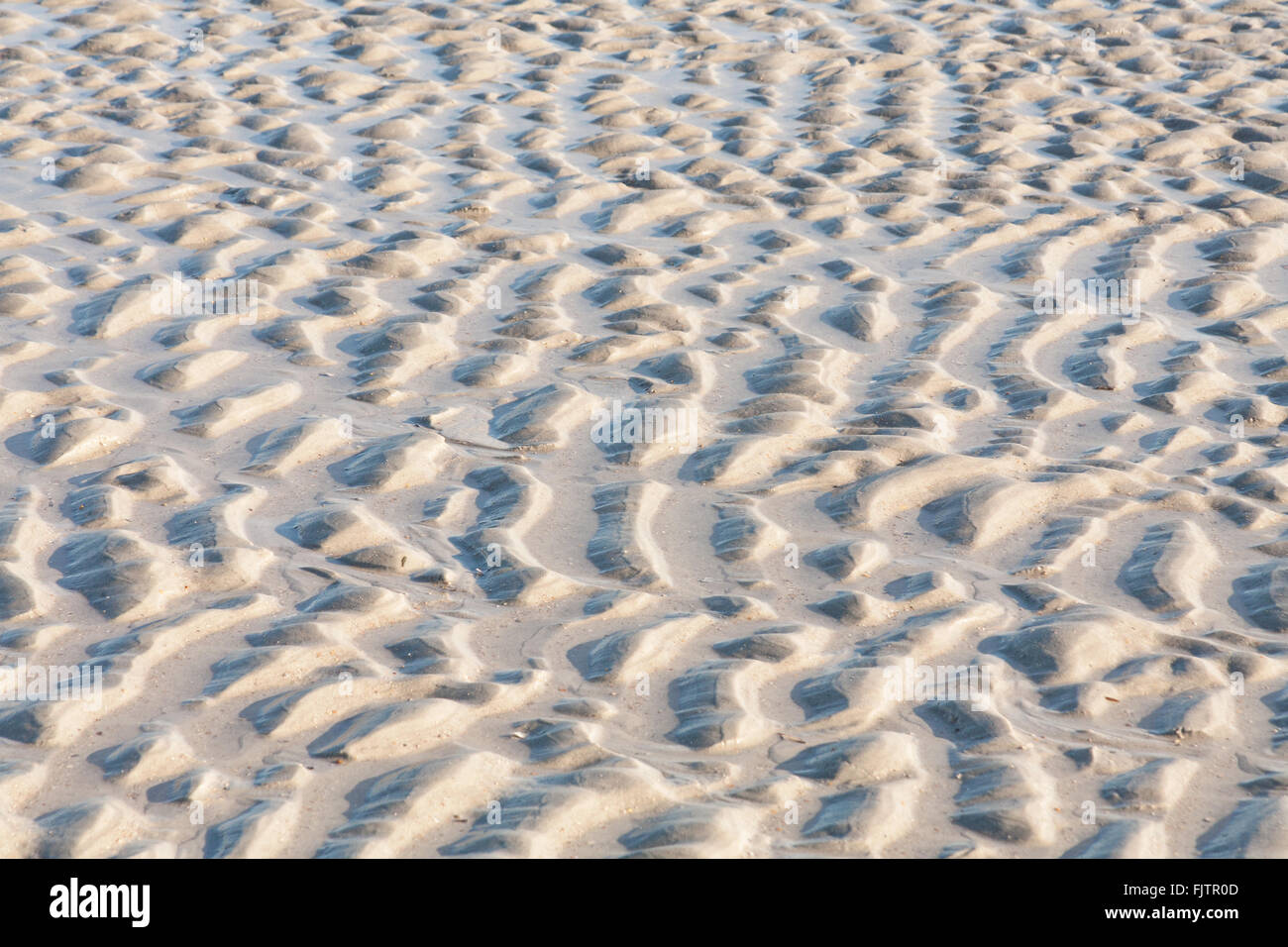 Sand ripples on the beach, Jacksonville Beach, Florida, USA Stock Photo