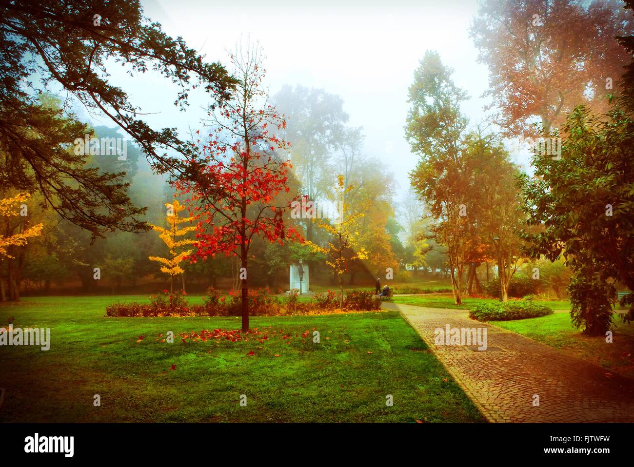 Garden in the sky hi-res stock photography and images - Alamy