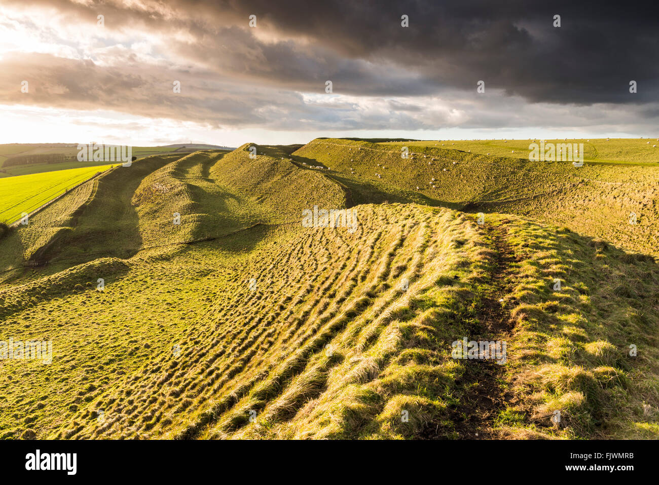 View of the iron age hill fort of Maiden Castle near Dorchester, Dorset