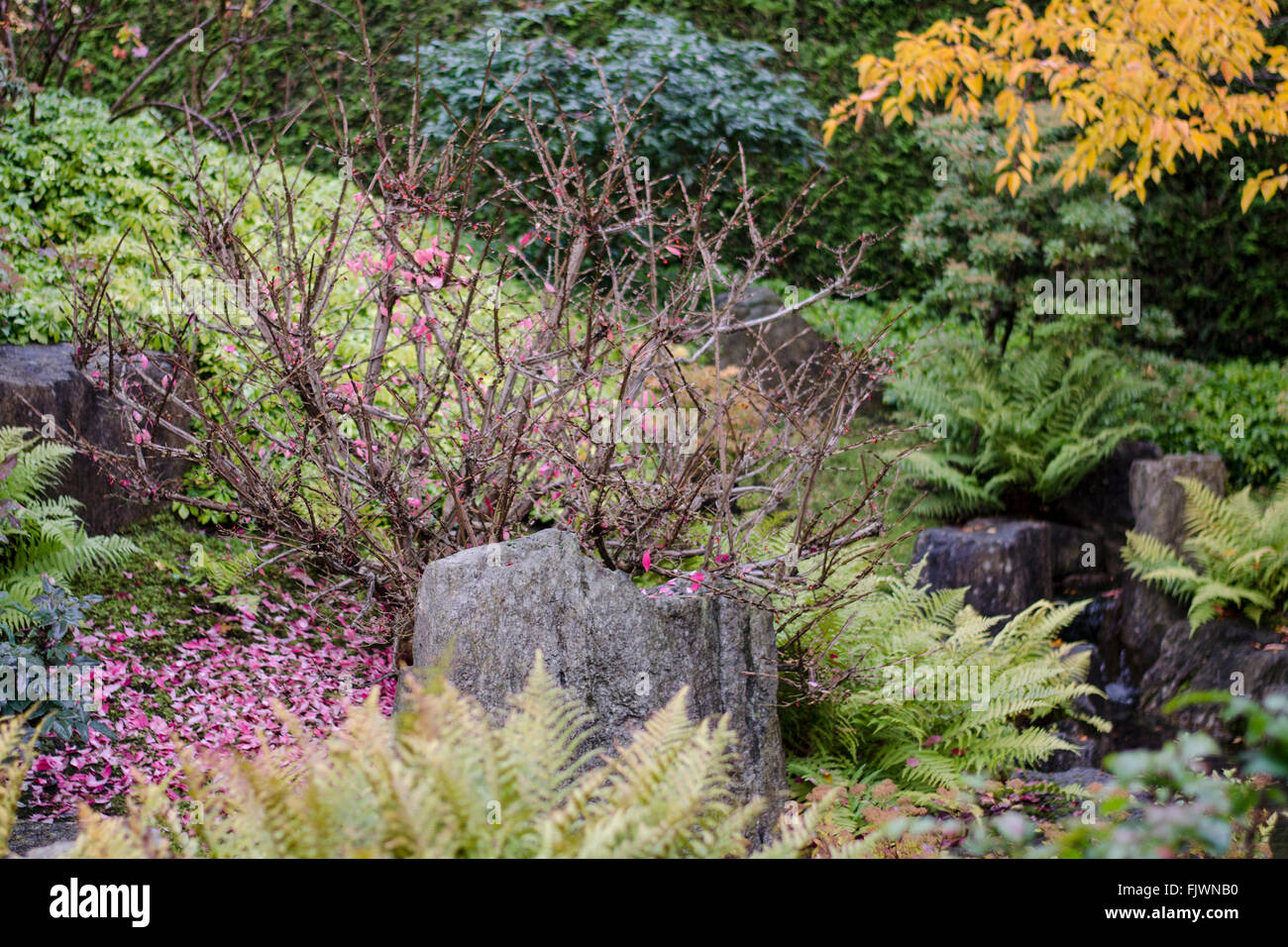 Plants Growing In Garden Stock Photo Alamy