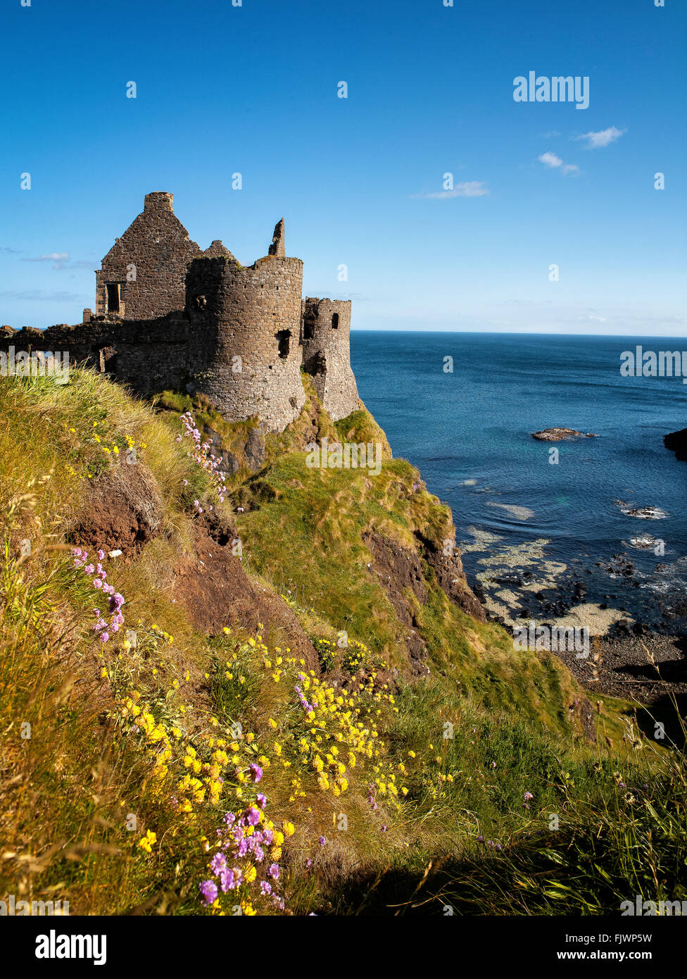 Spring Flowers Dunluce Castle Portrush White Rocks Stock Photo