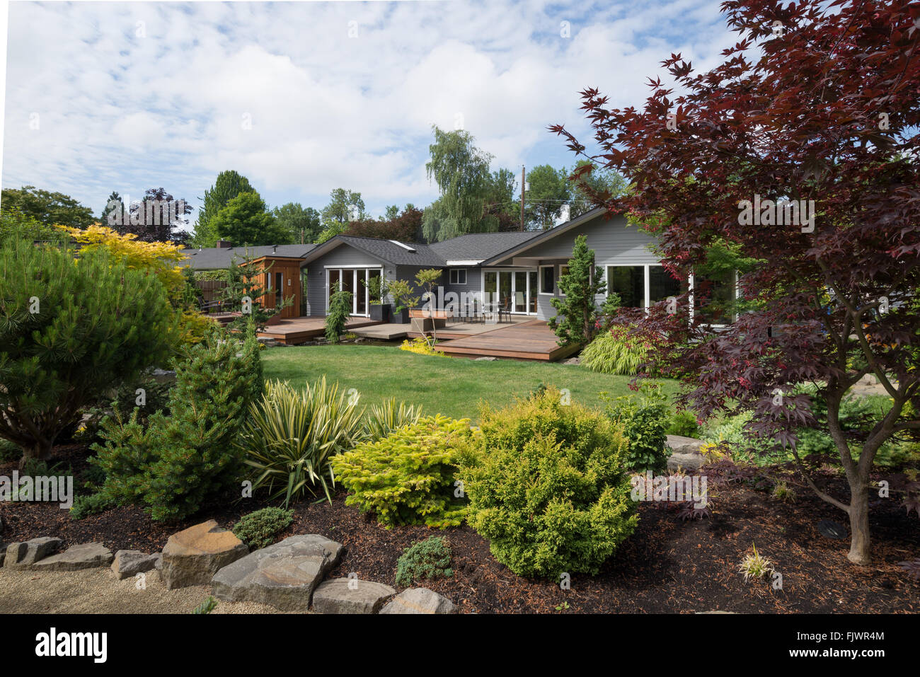 A contemporary home can be seen beyond the backyard lawn with rock and evergreen landscaping in the foreground on a mild summer  Stock Photo