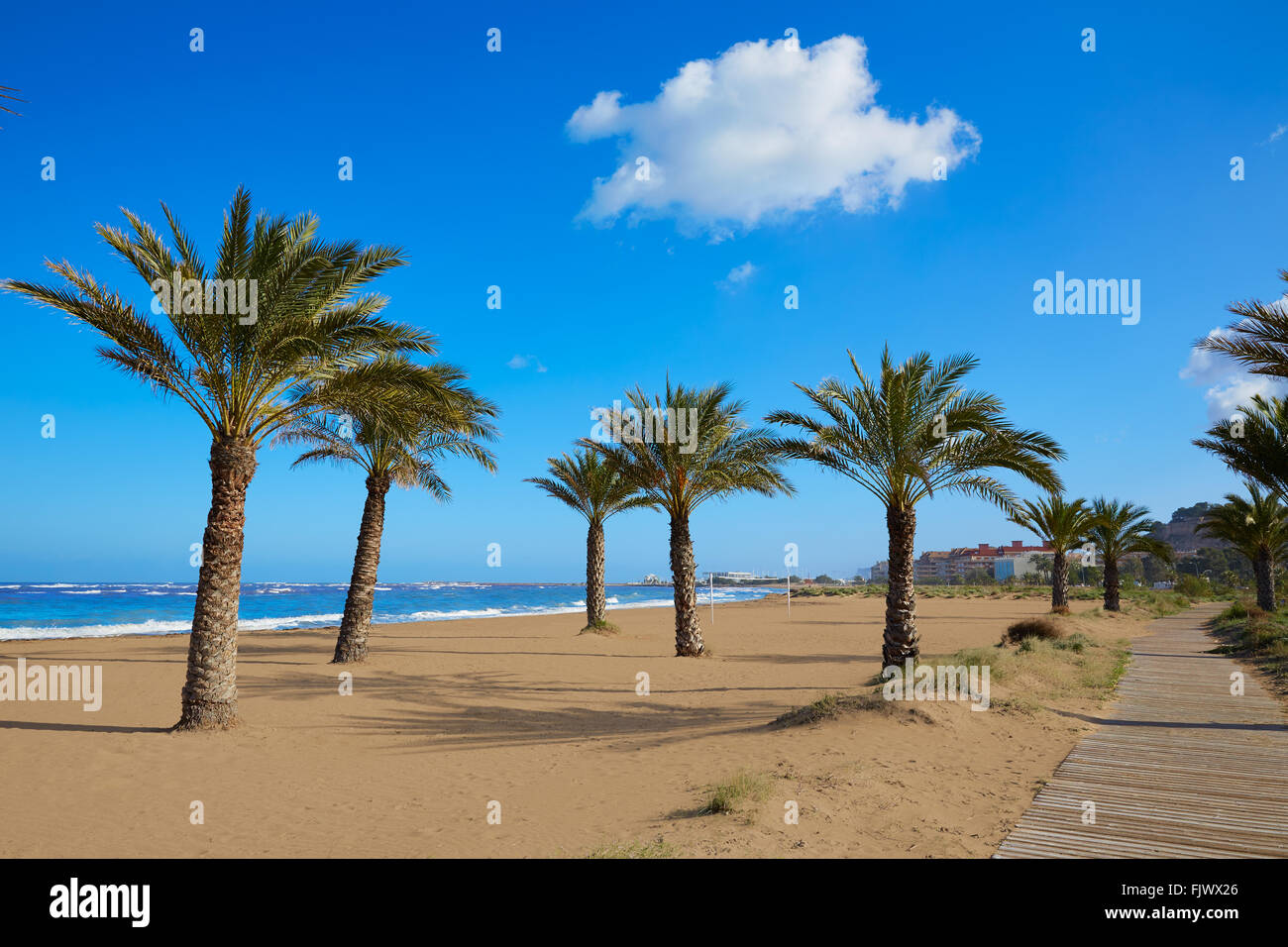 Denia beach Las Marinas with palm trees in Mediterranean Alicante of Spain  Stock Photo - Alamy