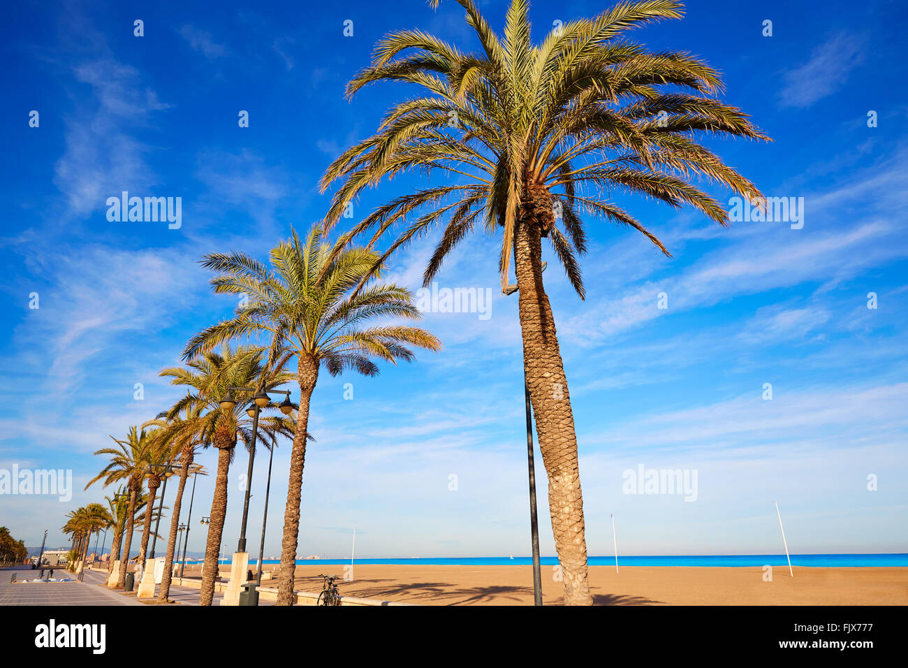 Valencia La Malvarrosa Beach Palm Trees Promenade In Spain Stock Photo valencia-la-malvarrosa-beach-palm-trees-promenade-in-spain-stock-photo