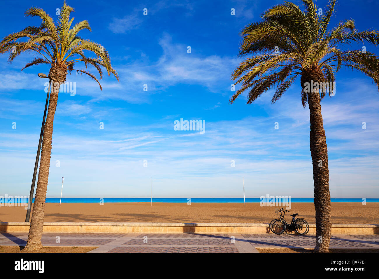 Valencia La Malvarrosa Beach Palm Trees Promenade In Spain Stock Photo valencia-la-malvarrosa-beach-palm-trees-promenade-in-spain-stock-photo