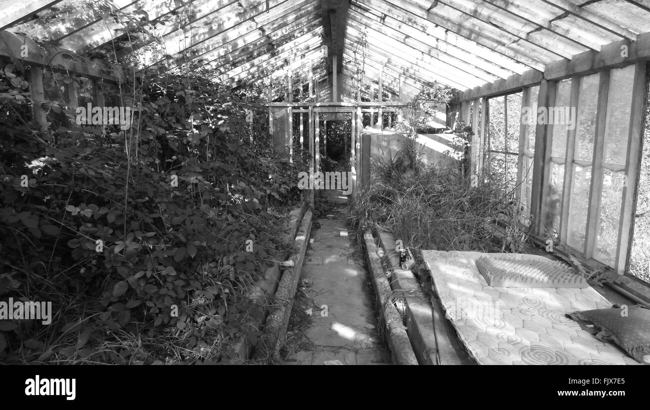 Run down greenhouse hires stock photography and images Alamy