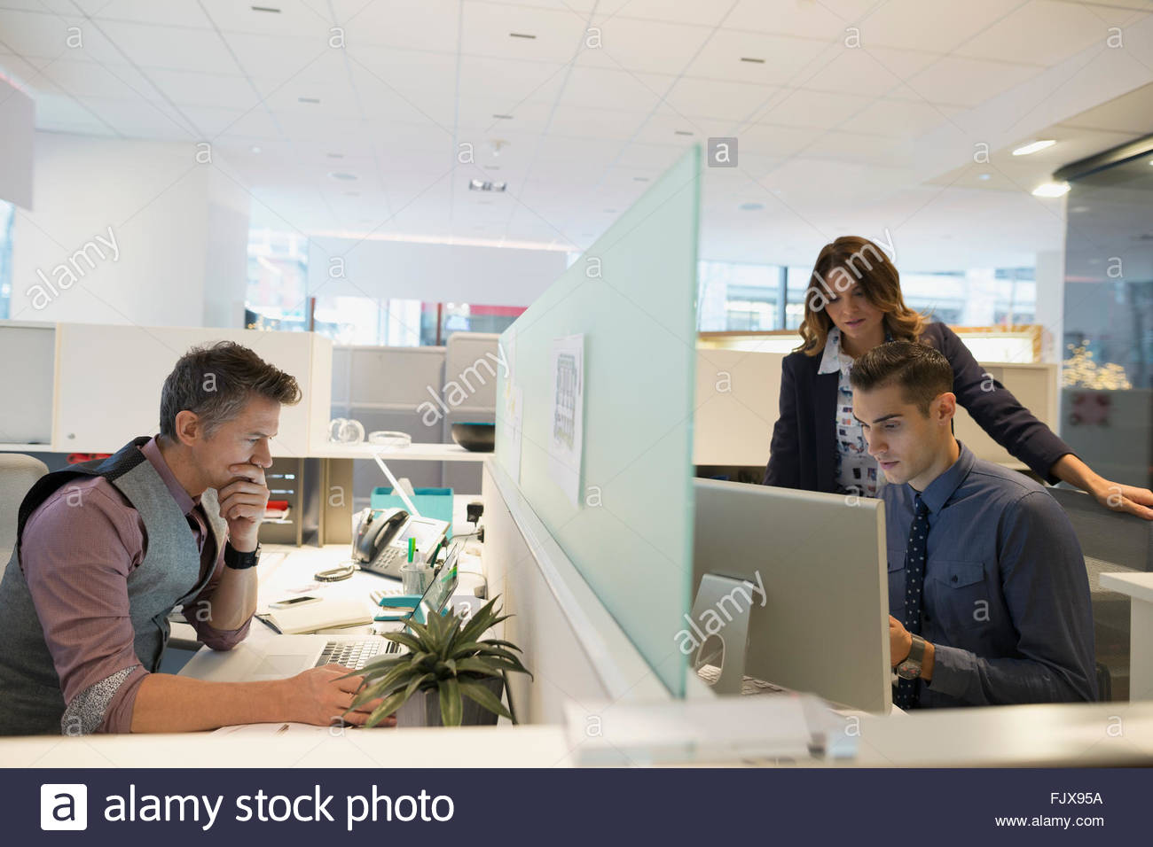 Business people working at cubicles in office Stock Photo Alamy