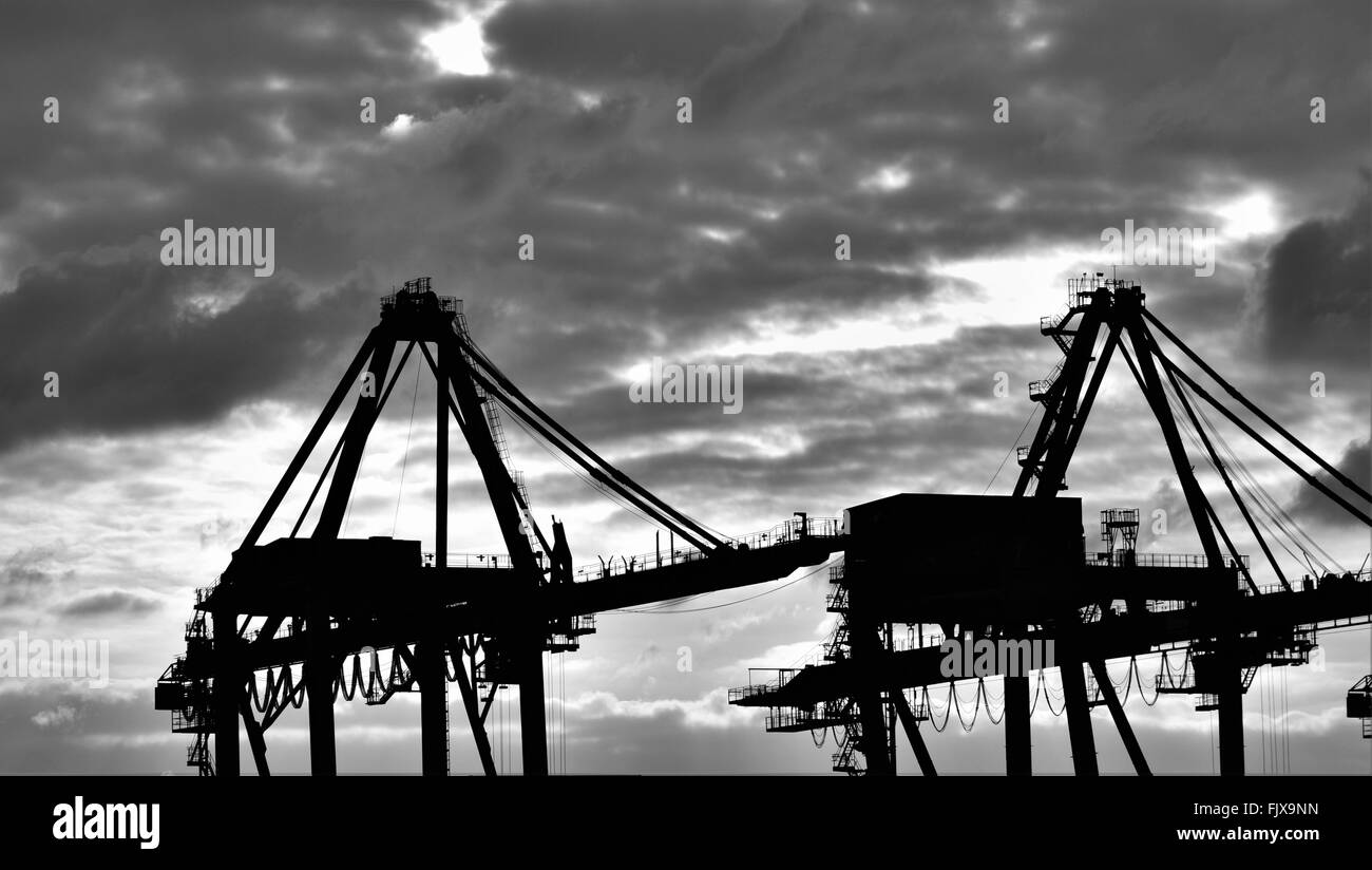 Silhouette Cranes Against Cloudy Sky Stock Photo - Alamy