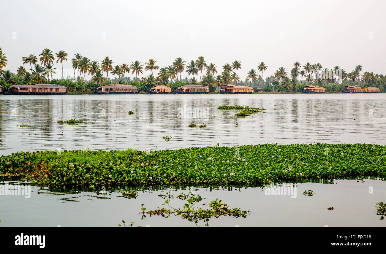 Indian Backwaters Houseboats at Dusk On the Backwaters Kerala India Stock Photo - Alamy