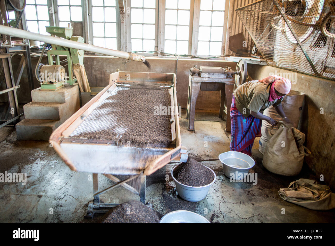 Kolukkumalai Tea Factory Munnar Kerala India Stock Photo Alamy